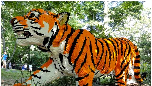 Tigrul este preferatul copiilor