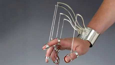 Instrumente de tortură sau bijuterii bizare? (Poze)