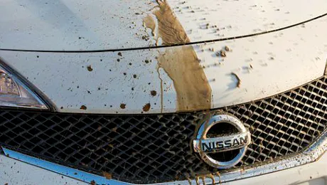 Spălătoriile auto, amenințate de mașina care nu se murdărește!