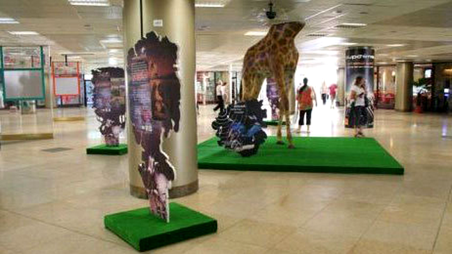 Unde nu-i cap... sunt doar picioare