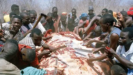 SOCANT: Cum arata o „coada la carne” in Zimbabwe (Poze)