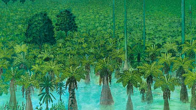 Schiță cu pădurea fosilizată