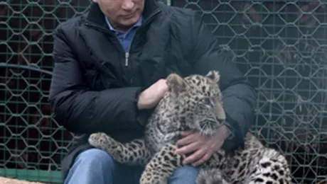 … iar înăuntru e leopardul! Alături de Putin!