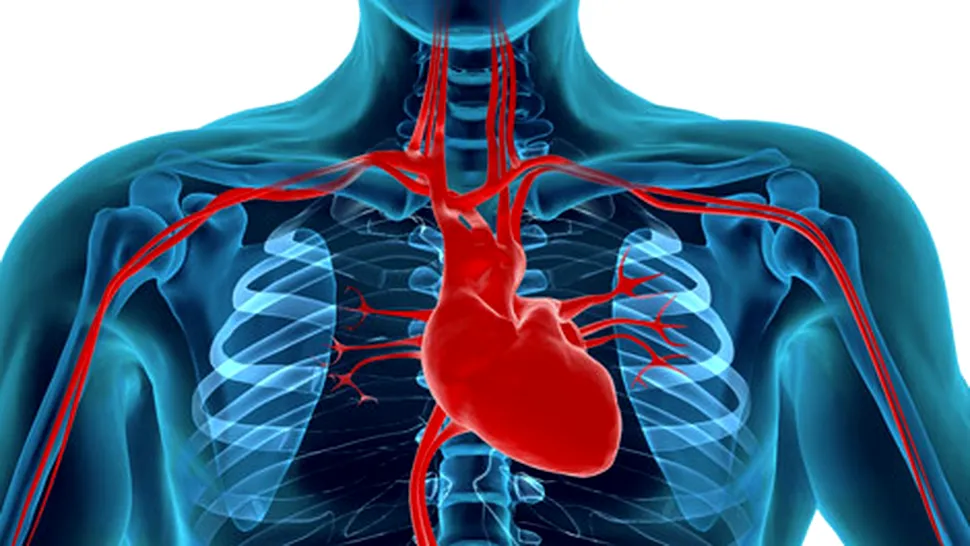 10 curiozități despre inima ta