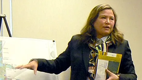 O femeie vrea să dezvolte un oraș chinezesc în SUA