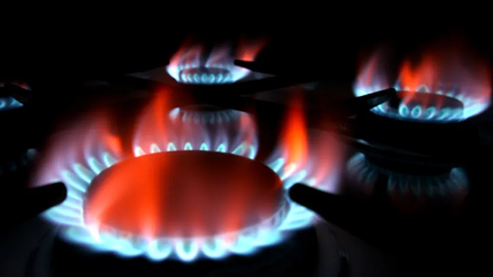 Pretul gazelor naturale ar putea fi mentinut in 2010