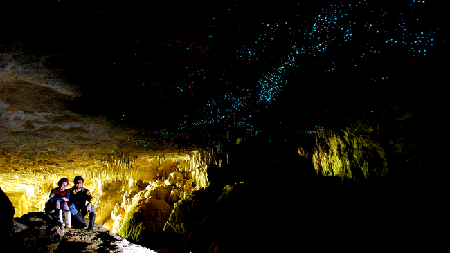 Peșterile Waitomo Glowworm, Noua Zeelandă