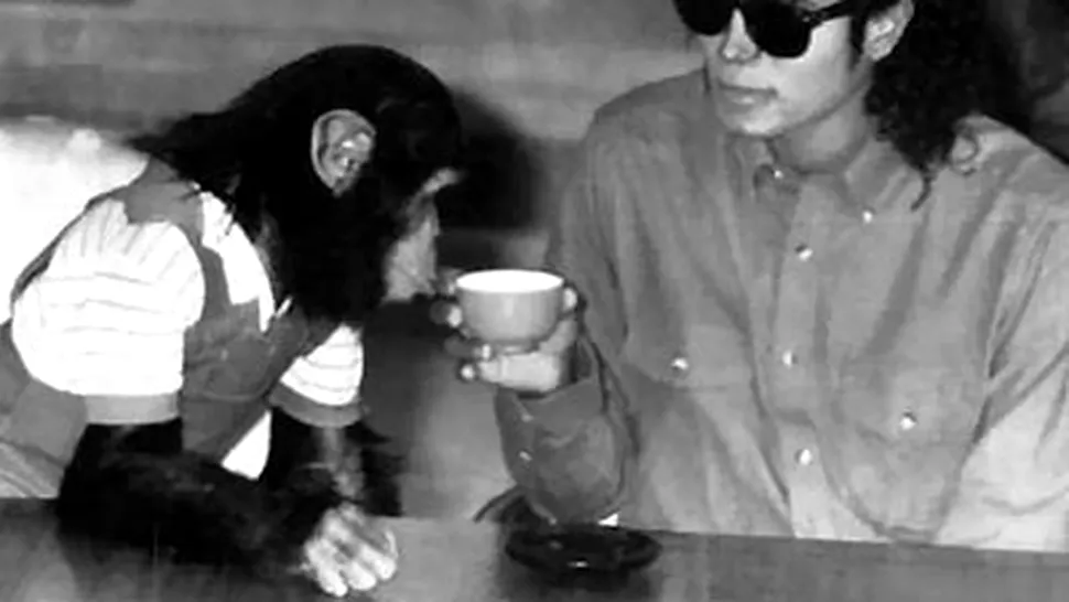 Cine il vrea pe Bubbles, simpaticul cimpanzeu al lui Michael? (Poze)