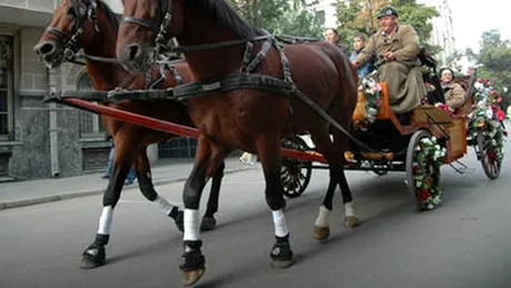 Bucuresti, de 350 de ani Capitala tarii esti! Sa ne traiesti!