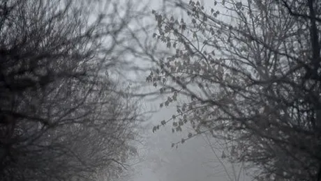 Prognoza meteo pentru miercuri, 21 ianuarie 2015