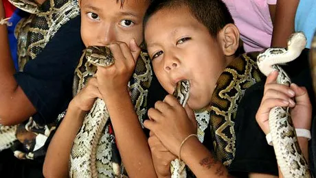 Șerpii, cei mai buni prieteni ai omului (Poze)
