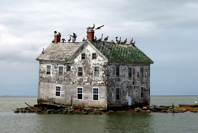 Holland Island în Golful Chesapeake