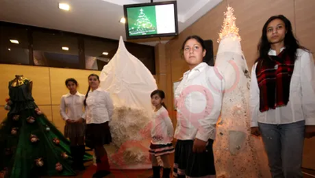 Festivalul Brazilor de Craciun, editia a VIII-a (Foto&Video)