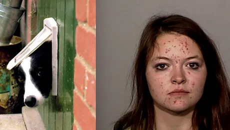 A intrat pe portita cainelui sa fure, ca sa isi cumpere materiale pornografice