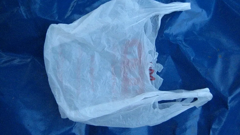 PE vrea interzicerea pungilor de plastic de unică folosință până în 2020
