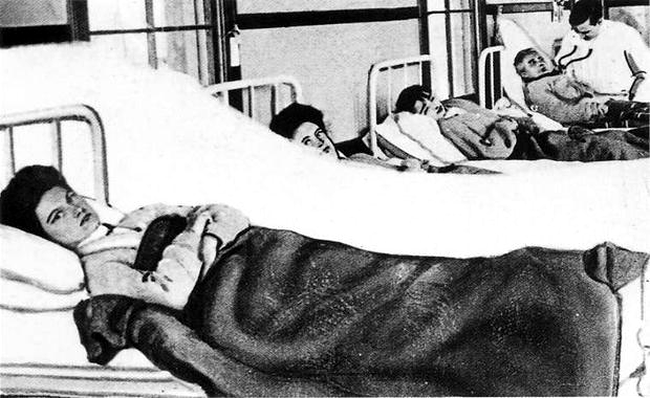 Typhoid Mary - febra tifoidă