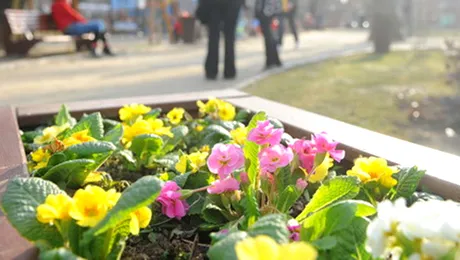 Prognoza meteo pentru joi, 26 februarie 2015