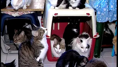 131 de suflete sub un singur acoperis!(Foto&Video)