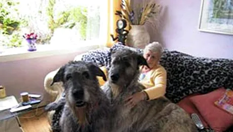 Poate l-am hranit prea des…