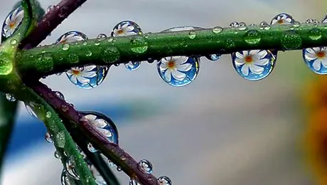 Vremea.Apropo.ro: Prognoza meteo pentru miercuri, 16 aprilie 2014