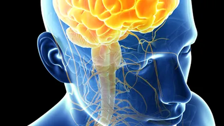 Cea mai simplă metodă de luptă împotriva bolii Alzheimer