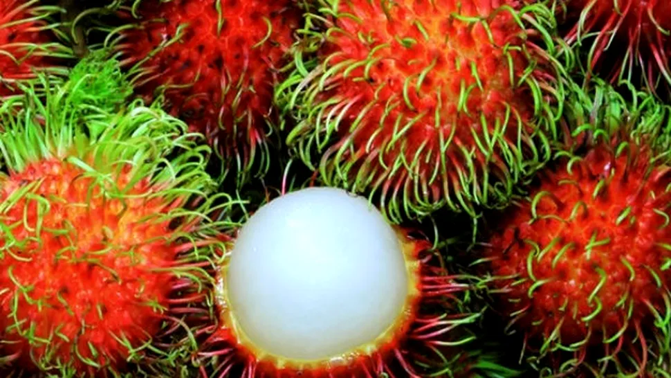 Rambutanul, fructul exotic cu mari beneficii pentru sănătate