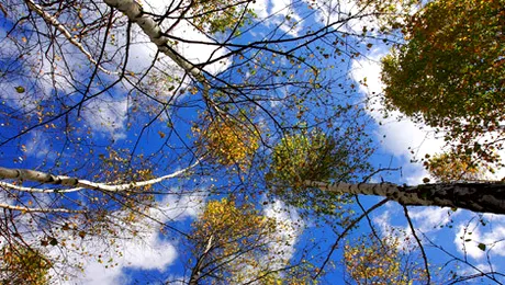 Vremea.Apropo.ro: Cum va fi vremea în iunie, iulie și august 2013