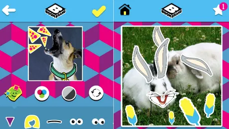 Îţi poţi transforma animalul de companie într-un star, cu aplicaţia  „Boomerang Pet Photo Booth”