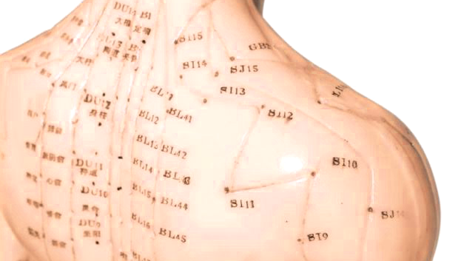 meridiane acupunctura