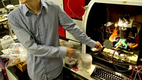 A fost construit primul calculator din lume cu nanotuburi de carbon