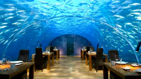 Ce poţi mânca la cele mai scumpe restaurante din lume!