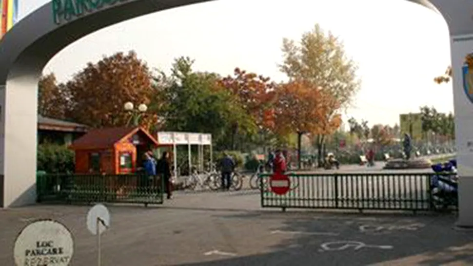 Patinoar sintetic în Parcul Lumea Copiilor