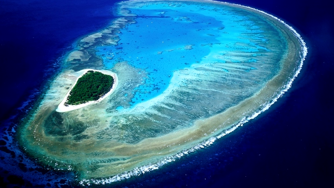 Insula Lady Musgrave, Marea Barieră de Corali, Australia