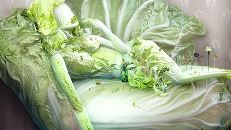 Fantezii cu varza chinezeasca, de Ju Duoqi (Poze)