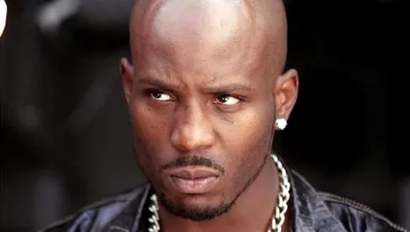 DMX poarta lenjerie roz la puscarie