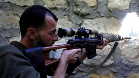 Șobolani mutanți, vânați de lunetiști