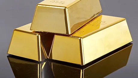 A furat 29 de lingouri de aur, cu liftul