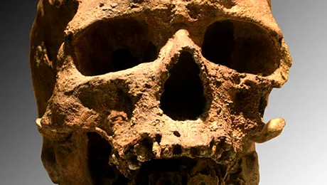 Cine a fost omul de cro-magnon