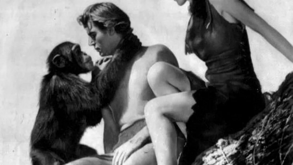 Cheeta - cimpanzeul din Tarzan - a murit de Craciun, la varsta de 80 de ani