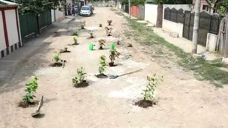Prima strada din Bucuresti asfaltata cu… flori! (Poze)