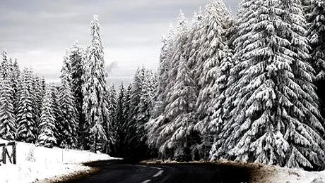 Vremea Apropo.ro in week-end: Ceata, ploi si ninsori