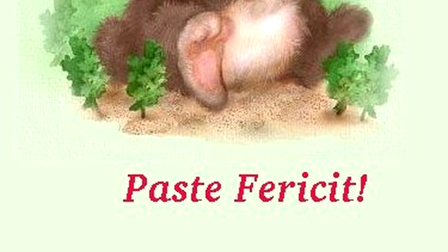 Intra pe Vremea.apropo.ro!