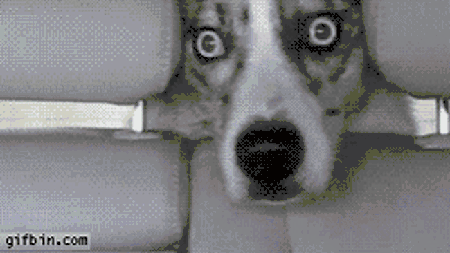 speriat de apocalipsă