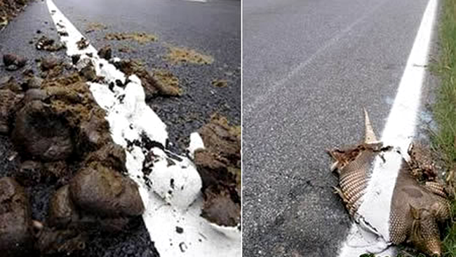 Cei mai lenesi oameni din lume (poze)