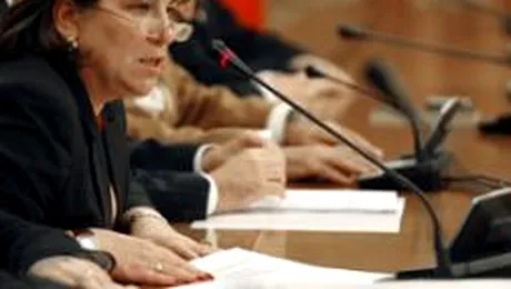 Guvernul a sesizat CC in cazul Norica Nicolai