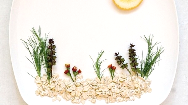 Grădină comestibilă