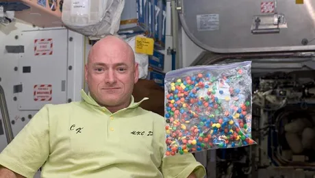Cine sunt primii astronauți care vor petrece un an în cosmos
