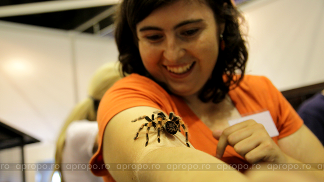 Pet Expo 2010