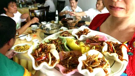 Poftiti la masa, serviti insecte! (Poze)