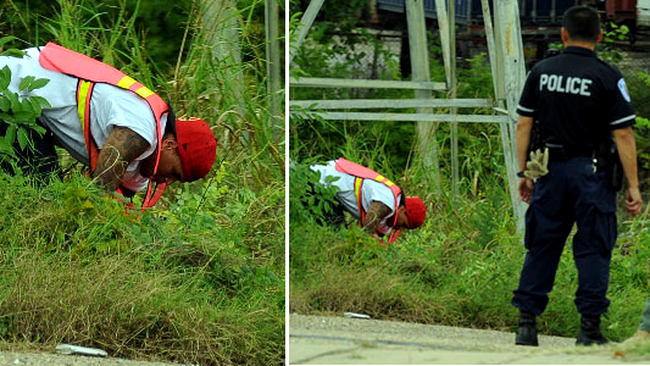 chris brown in chip de gunoier